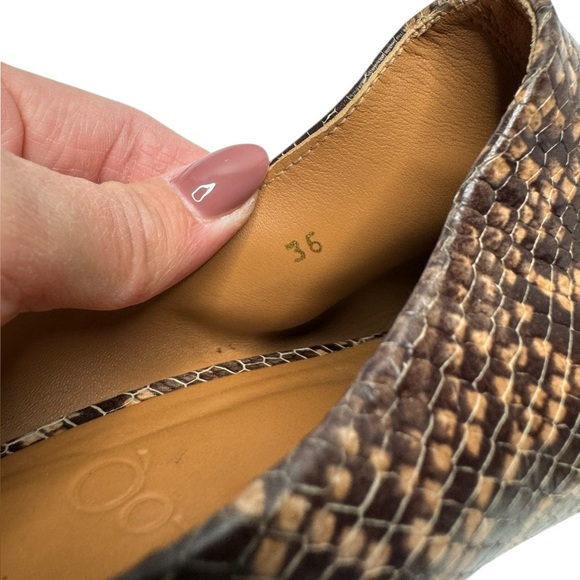 LOQ | Eva Mules in Python 36 - Picture 8 of 10